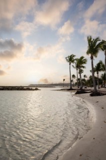 Caribbean dream beach with palm trees, white sandy beach and turquoise-coloured, crystal-clear