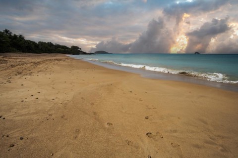 Lonely, wide sandy beach with turquoise-coloured sea. Tropical plants in a bay at sunset in the