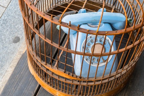 Old style rotary phone sitting in birdcage sitting outside on wooden step in Seoul, South Korea,