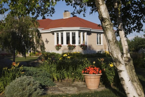 Tan brick with white trim home with landscaped front yard through Betula, Birch tree underplanted