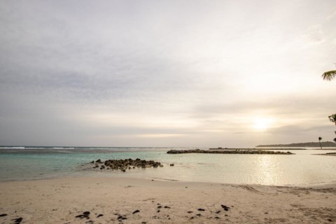 Caribbean dream beach with palm trees, white sandy beach and turquoise-coloured, crystal-clear