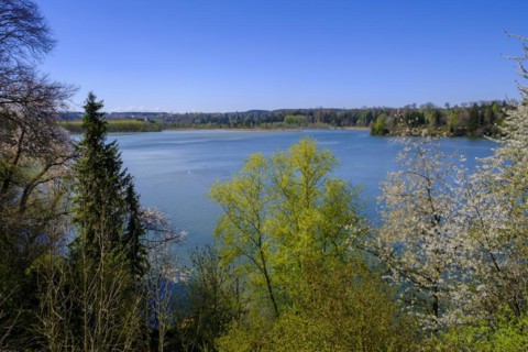 Lech reservoir, Apfeldorf am Lech, Pfaffenwinkel, Upper Bavaria, Bavaria, Germany, Europe