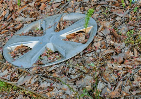 An abandoned car hubcap amidst fallen leaves and forest debris, indicating pollution, in South