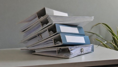Many bundled and organised papers on a desk in front of a plant, symbolism bureaucracy, AI