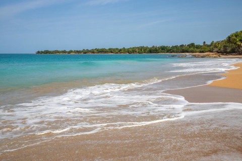 Lonely, wide sandy beach with turquoise-coloured sea. Tropical plants in a bay in the Caribbean