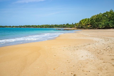 Lonely, wide sandy beach with turquoise-coloured sea. Tropical plants in a bay in the Caribbean