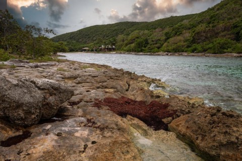 Rocky coast, long bay by the sea at sunset. Dangerous view of the Caribbean Sea. Tropical climate