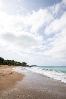 Lonely, wide sandy beach with turquoise-coloured sea. Tropical plants in a bay in the Caribbean