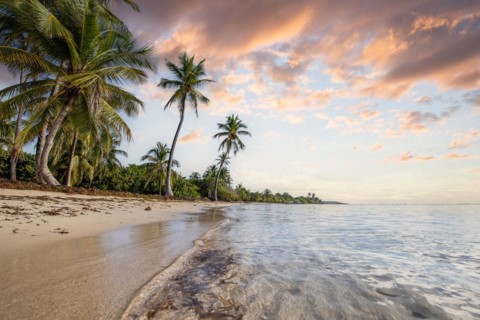 Romantic Caribbean sandy beach with palm trees, turquoise-coloured sea. Morning landscape shot at