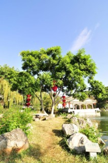 Zhu family garden, yunnan, china