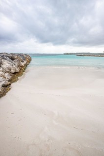 Caribbean dream beach with palm trees, white sandy beach and turquoise-coloured, crystal-clear