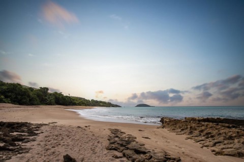 Lonely, wide sandy beach with turquoise-coloured sea. Tropical plants in a bay at sunset in the