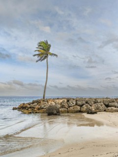 Caribbean dream beach with palm trees, white sandy beach and turquoise-coloured, crystal-clear