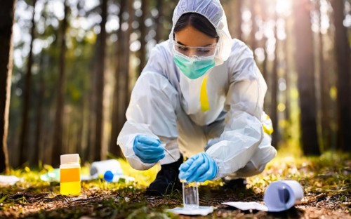 Securing evidence at a crime scene in the forest, KTU, forensic investigation by the criminal