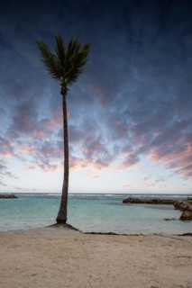 Caribbean dream beach with palm trees, white sandy beach and turquoise-coloured, crystal-clear