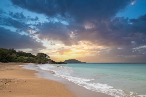 Lonely, wide sandy beach with turquoise-coloured sea. Tropical plants in a bay at sunset in the