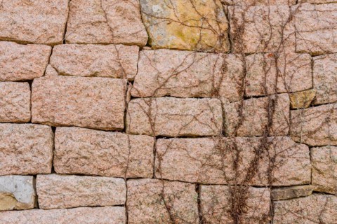 Closeup of vines growing on mountain fortress wall made of flat stones in Boeun, South Korea, Asia