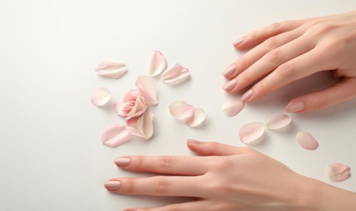 Woman's hand on white background with flower petals around AI generated