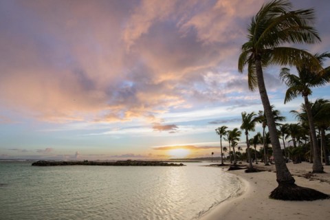 Caribbean dream beach with palm trees, white sandy beach and turquoise-coloured, crystal-clear
