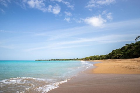 Lonely, wide sandy beach with turquoise-coloured sea. Tropical plants in a bay in the Caribbean