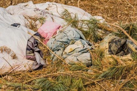 Discarded clothing and trash pollute the natural pine-covered ground, in South Korea