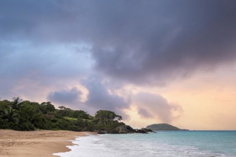 Lonely, wide sandy beach with turquoise-coloured sea. Tropical plants in a bay at sunset in the