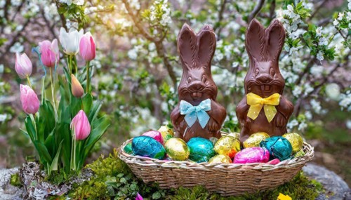 Chocolate Easter bunnies in a colourful Easter nest in the garden, symbolic Easter photo, AI