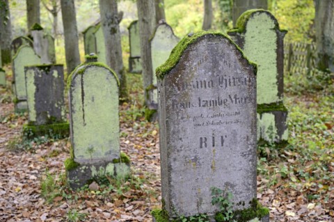 Jewish cemetery, weathered gravestones, wine village Beilstein, Moselle, Rhineland-Palatinate,