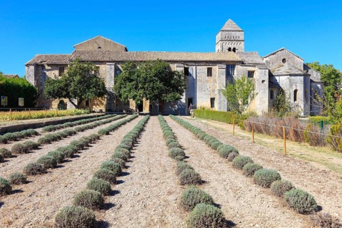 Vincent van Gogh lived until his death in St Paul Hospital, Saint-Remy-de-Provence,