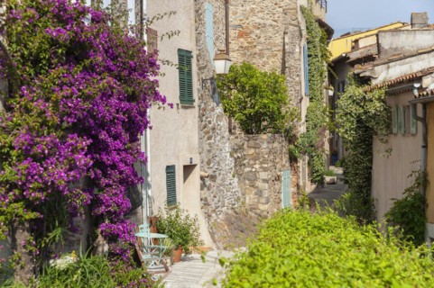 Typical alley in the old town with bougainvillea on the facades, Grimaud-Village, Var,