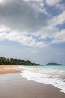 Lonely, wide sandy beach with turquoise-coloured sea. Tropical plants in a bay in the Caribbean