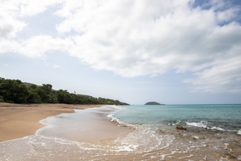Lonely, wide sandy beach with turquoise-coloured sea. Tropical plants in a bay in the Caribbean