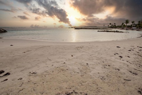 Caribbean dream beach with palm trees, white sandy beach and turquoise-coloured, crystal-clear