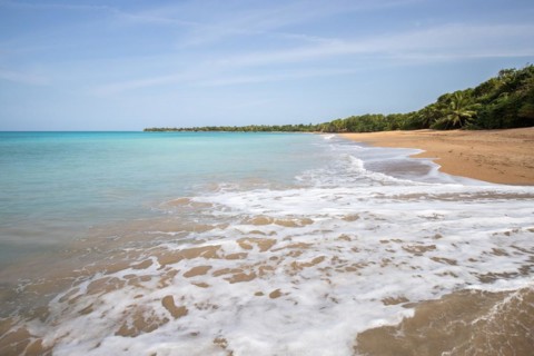 Lonely, wide sandy beach with turquoise-coloured sea. Tropical plants in a bay in the Caribbean