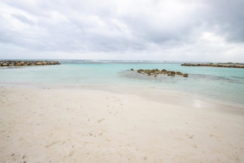 Caribbean dream beach with palm trees, white sandy beach and turquoise-coloured, crystal-clear