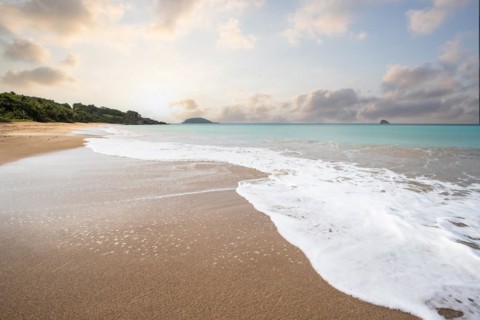 Lonely, wide sandy beach with turquoise-coloured sea. Tropical plants in a bay at sunset in the