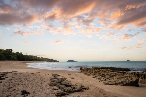 Lonely, wide sandy beach with turquoise-coloured sea. Tropical plants in a bay at sunset in the