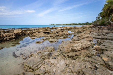 Lonely, wide sandy beach with turquoise-coloured sea. Tropical plants in a bay in the Caribbean