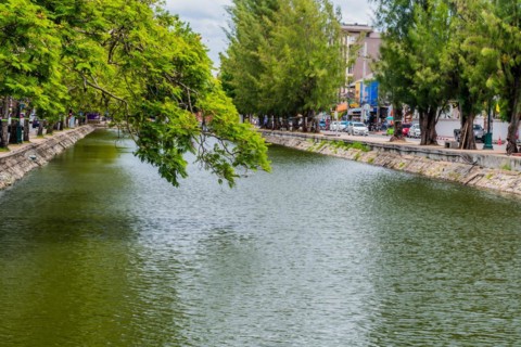 Canal water reflects the surrounding urban greenery and sky with tree branches overhanging, in