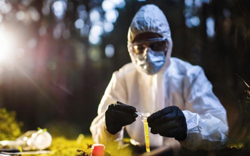 Securing evidence at a crime scene in the forest, KTU, forensic investigation by the criminal