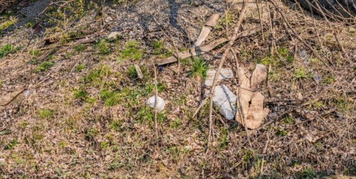 Discarded plastic and debris in a dry grassy area indicating environmental pollution, in South