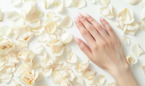 Woman's hand on white background with flower petals around AI generated