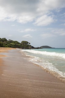 Lonely, wide sandy beach with turquoise-coloured sea. Tropical plants in a bay in the Caribbean