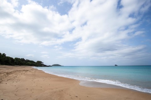 Lonely, wide sandy beach with turquoise-coloured sea. Tropical plants in a bay in the Caribbean