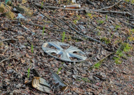 A discarded metallic hubcap lies on the forest floor, surrounded by twigs and leaves, in South