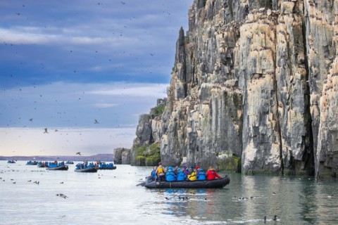 Eco-tourists in Zodiac boats watching thick-billed murres, Bruennich's guillemots (Uria lomvia) in