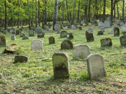 Old Jewish cemetery on the Judenhuegel near Kleinbardorf, municipality of Sulzfeld, Hassberge,