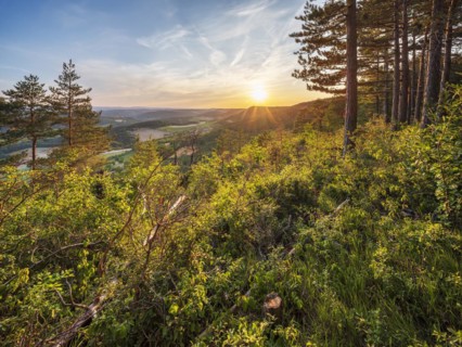 View from the shell limestone slopes near Bad Blankenburg of typical hilly landscape with forests