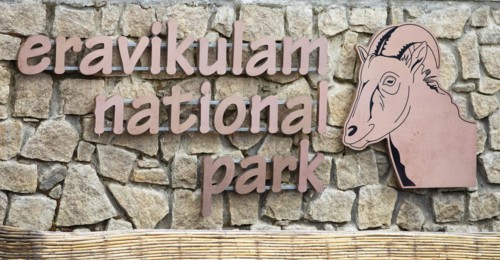 Lettering Eravikulam National Park, Kannan Devan Hills, Munnar, Kerala, India, Asia