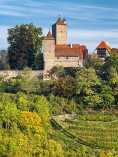 View of the historic old town with town wall, defence towers and vineyard, Rothenburg ob der